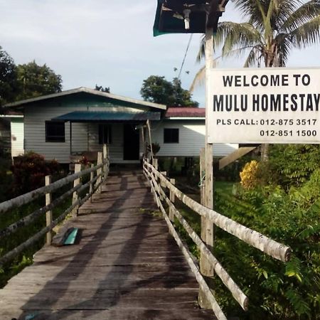Mulu Homestay Luaran gambar