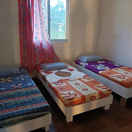 Mulu Homestay Luaran gambar