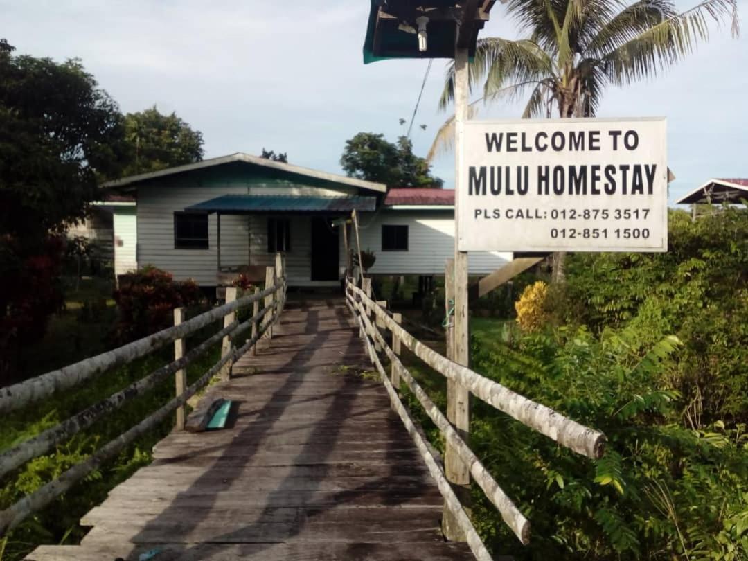 Mulu Homestay Luaran gambar