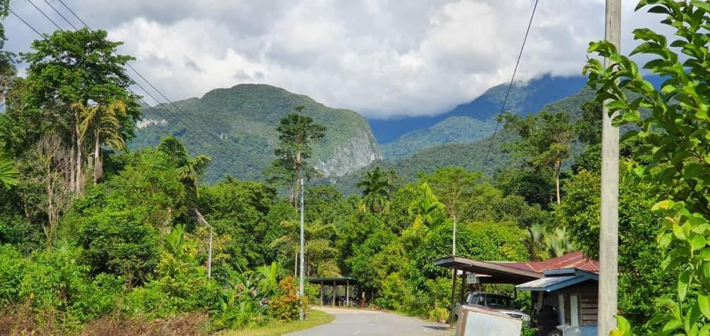 Mulu Homestay Luaran gambar
