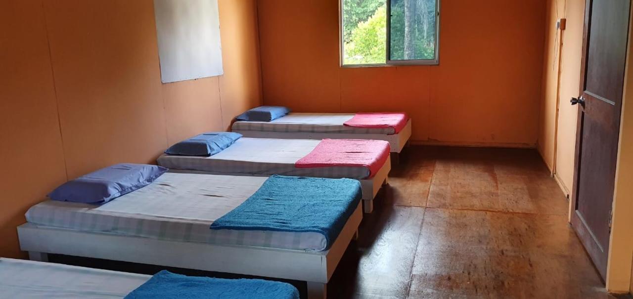 Mulu Homestay Luaran gambar