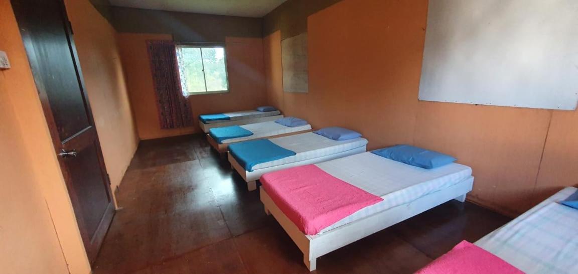 Mulu Homestay Luaran gambar