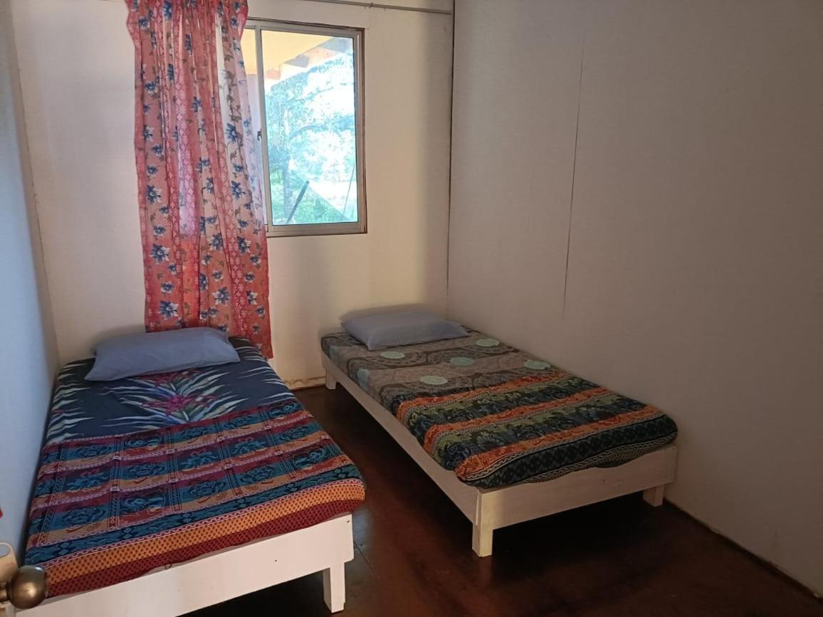 Mulu Homestay Luaran gambar